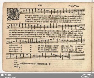 VII. Gott b'hüte dich