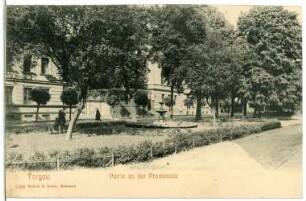 Torgau. In der Promenade