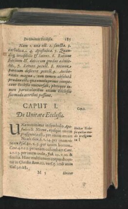 Caput I. De Unitate Ecclesiae.