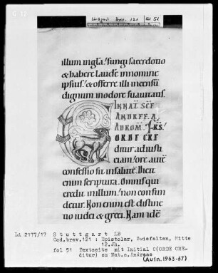 Festepistolar — Initiale C (orde creditur) mit einem Hund, Folio 51recto