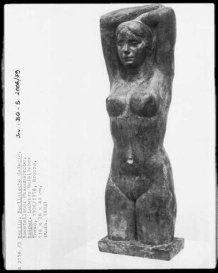 Weiblicher Torso