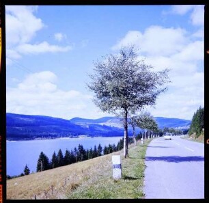 Schluchsee: Straße am Schluchsee