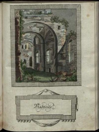 Nachteule.
