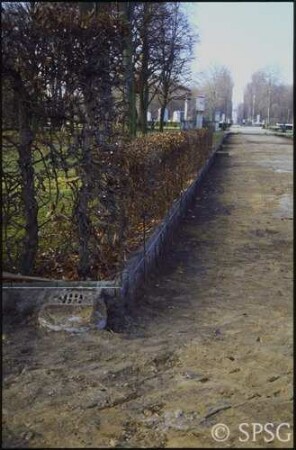 Potsdam, Park Sanssouci, Östlicher Lustgarten, Sanierung der östlichen Hauptallee.