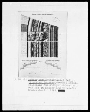 Dom Sankt Maria und Sankt Stephan zu Speyer: Südseite: Detail des linken oberen Fensters