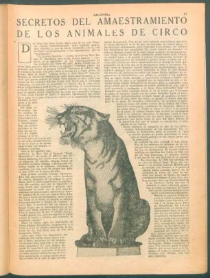 Secretos del amaestramiento de los animales de circo