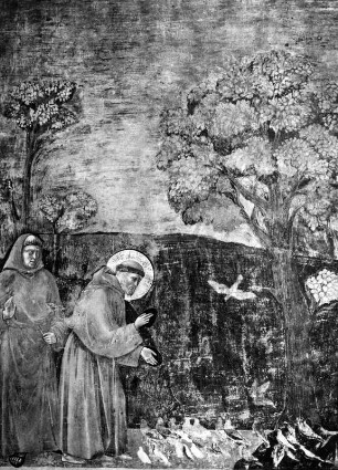 Die Vogelpredigt : Die Vogelpredigt. Fresko (1296/1304; Giotto di Bondone). Assisi, San Francesco