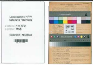 Entnazifizierung Nikolaus Bostroem, geb. 14.10.1904 (Ingenieur)