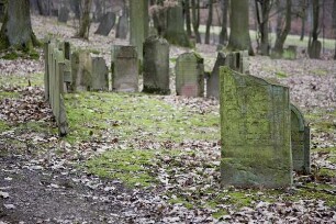 Jüdischer Friedhof; Friedrichsdorf, Im Halbenstahl