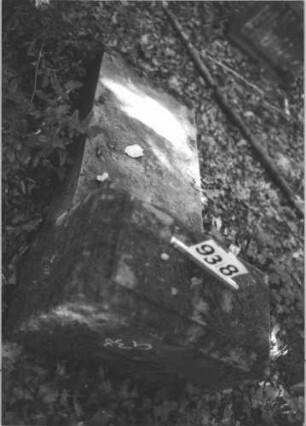 Grabstein 938 (Index: 99899445) Material: Sandstein Zustand: Rückseite gut erhalten, Stele liegt Maße HxBxT: 140x64x35 cm Beschreibung: aufgesockelte Stele, umgestürzt, liegt: Grabstein 938