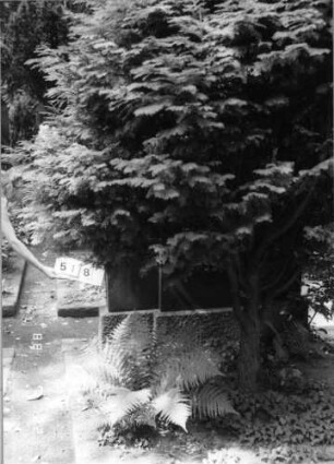 Grabstein 518