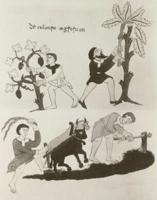 Bäuerliche Arbeiten, Buchmalerei, (Illustration zu Hrabanus Maurus), 1023
