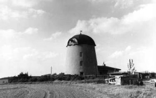 Falkenhain-Meltewitz. Turmholländer