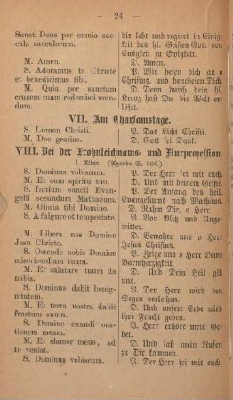 VI. Am Charfreitag.