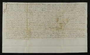 Der Ratsherr und Ulmer Bürger Matthäus Kiechlin verkauft Martin Feil ("Feyhel") von Steinheim [Stadt Neu-Ulm] 0,5 Jauchert Acker in der Hart [Gemarkung Steinheim]. Dafür hat ihm der Käufer 50 Gulden Ulmer Stadtwährung bezahlt.