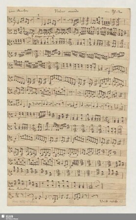 Violino secundo