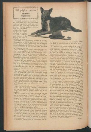 Mi página canina : Apuntes e impresiones