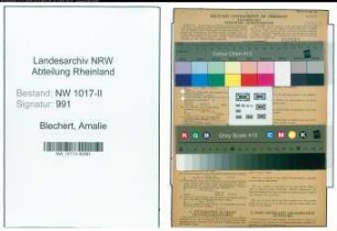 Entnazifizierung Amalie Blechert , geb. 27.01.1899 (Buchhalterin)