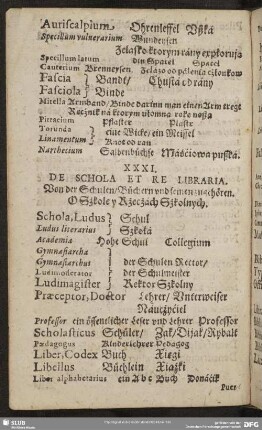 XXXI. De Schola Et Libraria