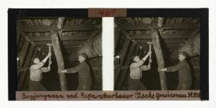 Bergjungmann und Reparaturhauer