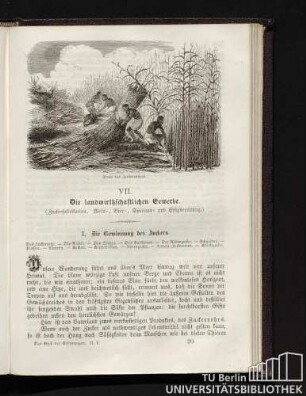 VII. Die landwirtschaftlichen Gewerbe.