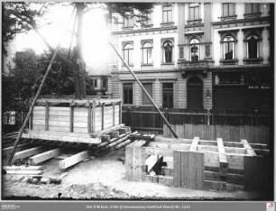 Ausgehobene Eibe, rechts Pflanzloch