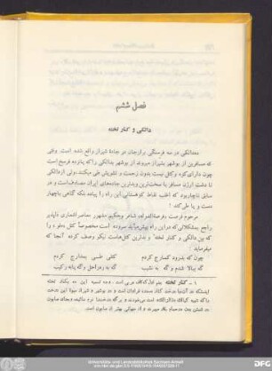 فصل ششم دالکی و کنار تخته