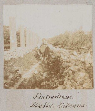 Säulenstrasse [sebastie]. Schwöbel, Zickermann.
