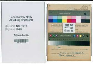 Entnazifizierung Luise Niklas , geb. 20.02.1901 (Lehrerin)