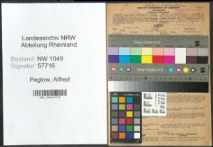 Entnazifizierung Alfred Peglow , geb. 07.08.1905 (Verwaltungsbeamter)