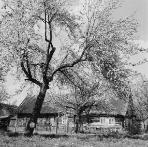 Spreewald. Historisches Wohnhaus