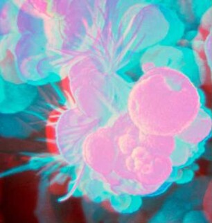 Mineralien, Mikroskopaufnahmen oder Computergrafiken, Urheber vmtl. Offermann