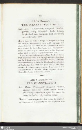 Arca appendiculata. Tab. CCLXXVI. --- Fig. 3