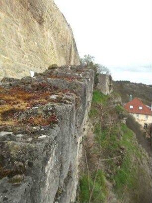 Stadtbefestigung-Ansicht im Osten-Zwingeraufgang am Schloßberg mit bergseitiger Futtermauer sowie talseitiger Basis der Zwingermauer mit anschließendem Steilhang