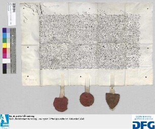 Bürgermeister, Rat und Bürger der Reichsstädte Nürnberg, Windsheim und Weissenburg schließen auf 3 Jahre gegen die Landfriedensstörer, insonderheit die Placker eine Einigung.