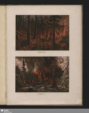 Waldbrand