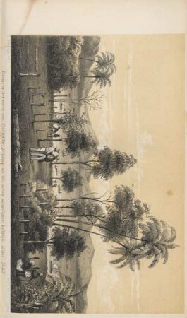 Gezigt op het meer van Tondano, genomen uit den nieuw aangelegden koffijtuin aldaar 1847