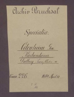 Instrumentum nobilitatis des Franz Anton von Dalberg.