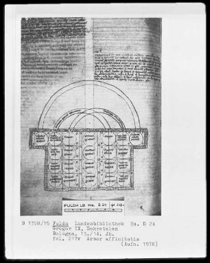 Dekretalen Gregors des Neunten — Arbor consanguinitatis, Folio 217verso