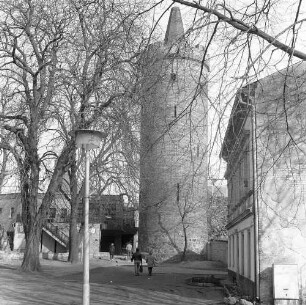 Bernau, Grünstraße. Stadtbefestigung. Pulverturm (Höhe 25,70 m, Durchmesser 7 m). Ansicht von Süden (aus Richtung Friedrich-Engels-Park)