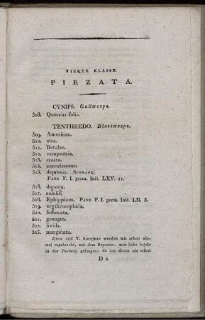 Vierte Klasse. PIEZATA.