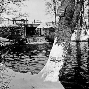 Mühlenteich: Wehr mit Überlauf: vorn rechts Baumstamm, daran Verbotsschild: hinten rechts Bäume: Winter