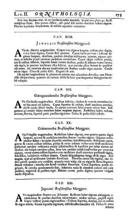 Cap. XVIII. Jamacaii Brasisliensibus Marggravii