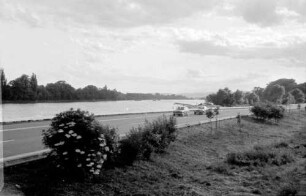Erbach: Autostraße am Rhein, Richtung Rüdesheim