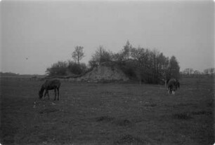 Schanze bei Brohna : Hrodźišćo pola Bronja