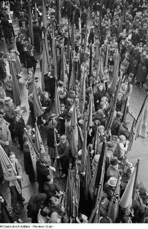 Demonstranten mit Fahnen