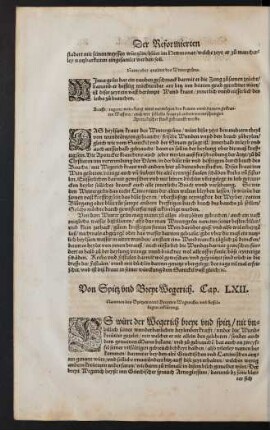 Von Spitz und Breyt Wegerich. Cap. LXII.