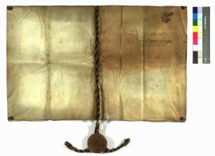 Das Hofgericht stellt ein Vidimus des Testaments der Rosalia von Nippenburg, geb. von Dierlingen aus, unter Anordnung von Erhebungen über die Echtheit desselben.