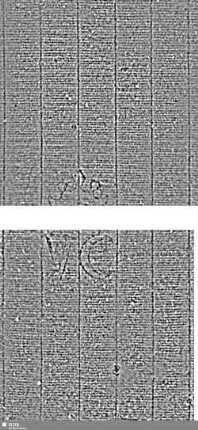 VC (gekrönt) / Tre lune = S.463-466