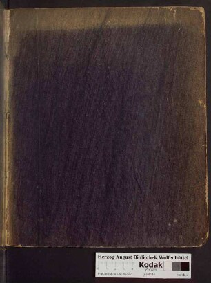 Conjectures Physiques